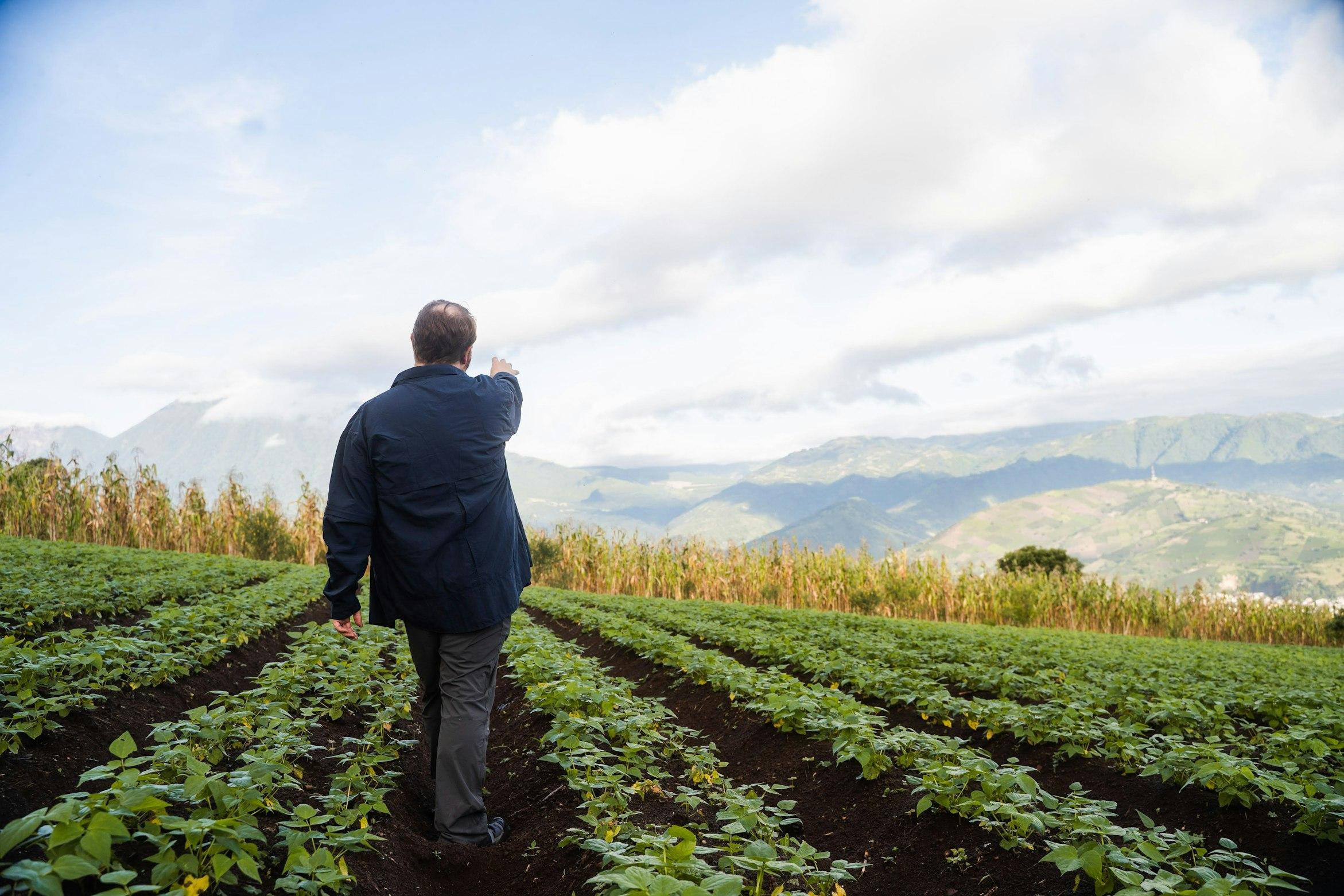 A man pointing to a field with soy