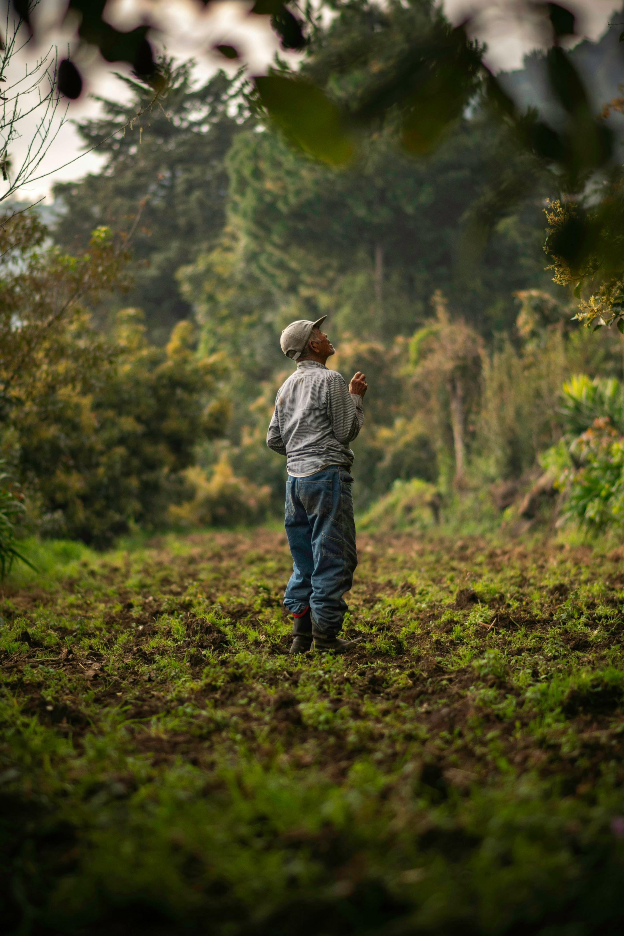 A man standing in a middle a harvest field on a forest